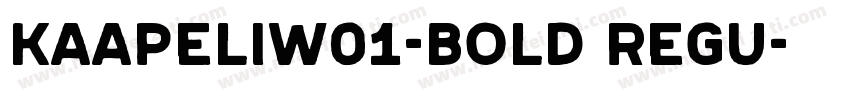 KaapeliW01-Bold Regu字体转换